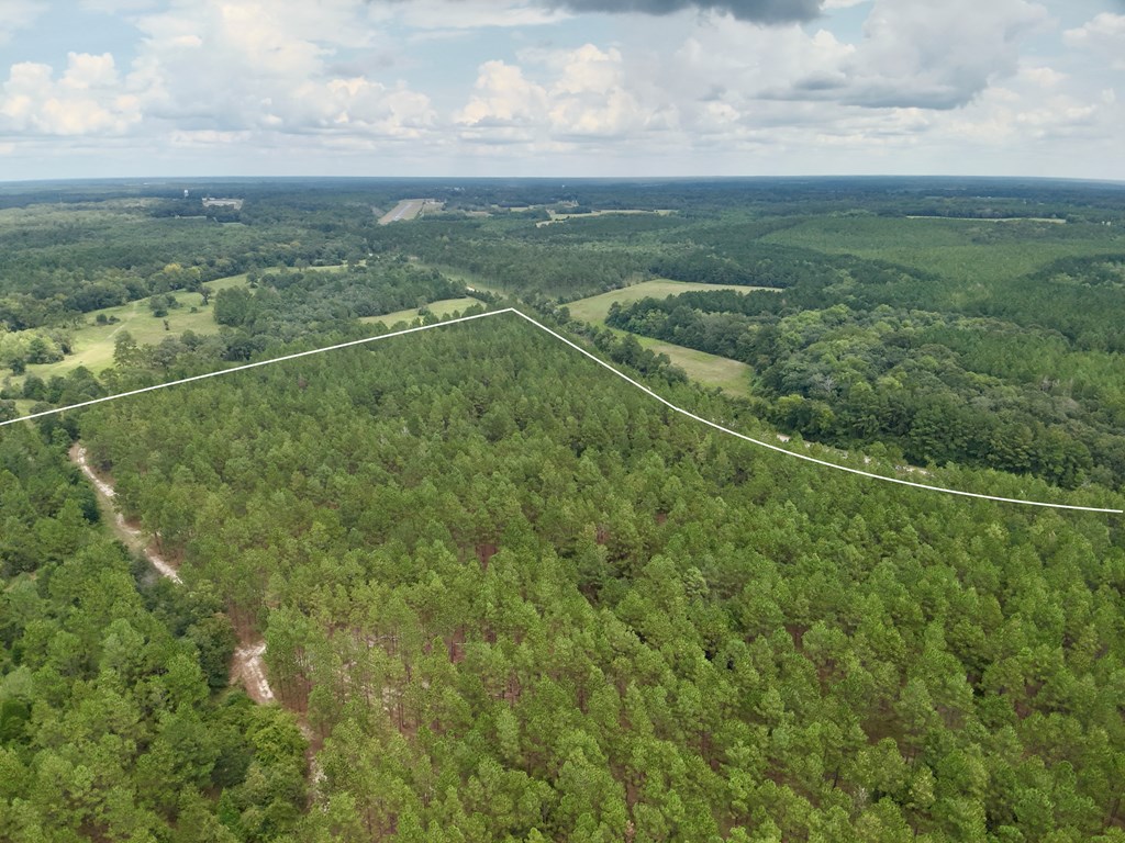 202-acres Columbus Holley Road Samson, AL 36477 - Photo 35 of 50