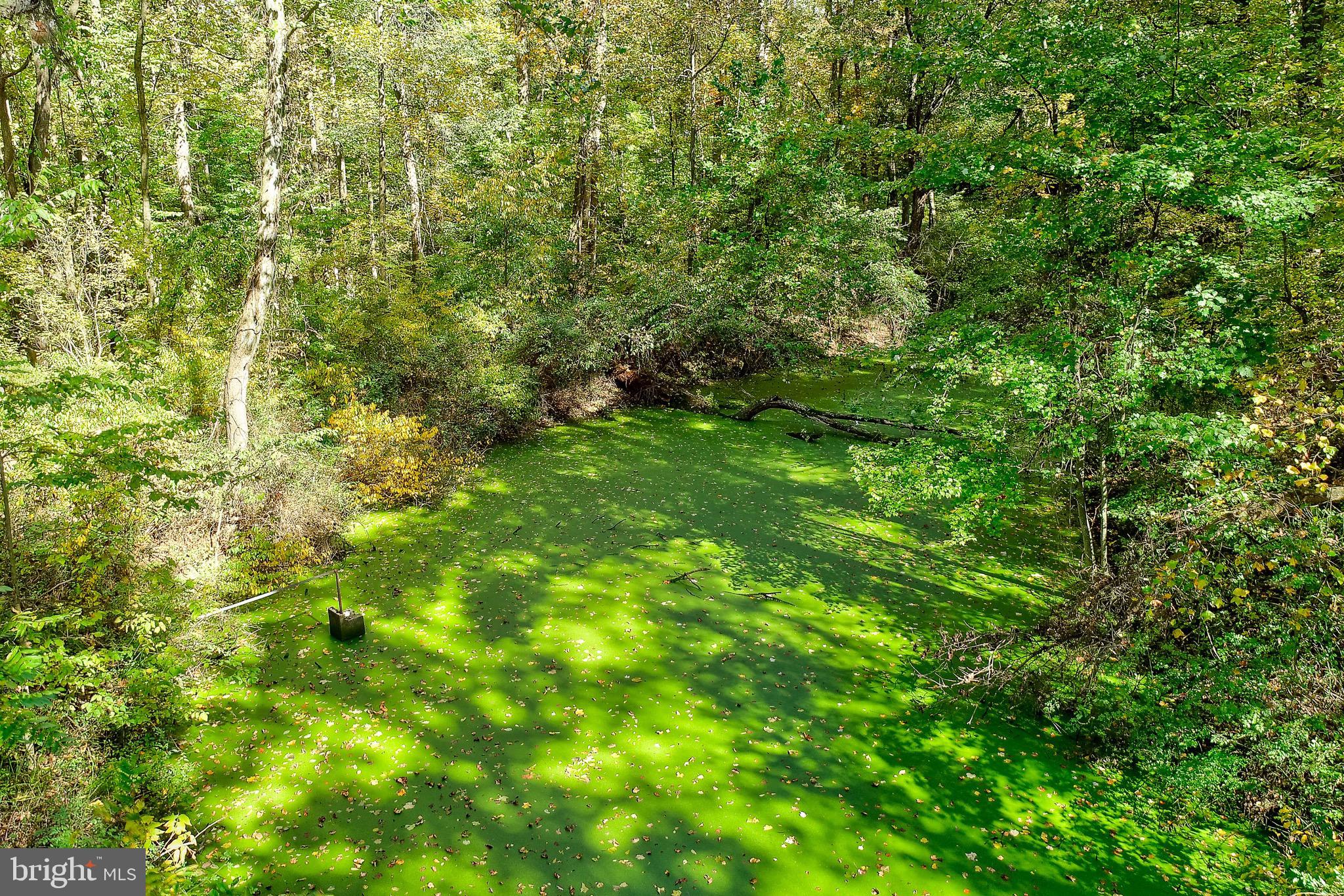 100 Roundtop Road Middletown, PA 17057 - Photo 23 of 60 Gallery Image 23