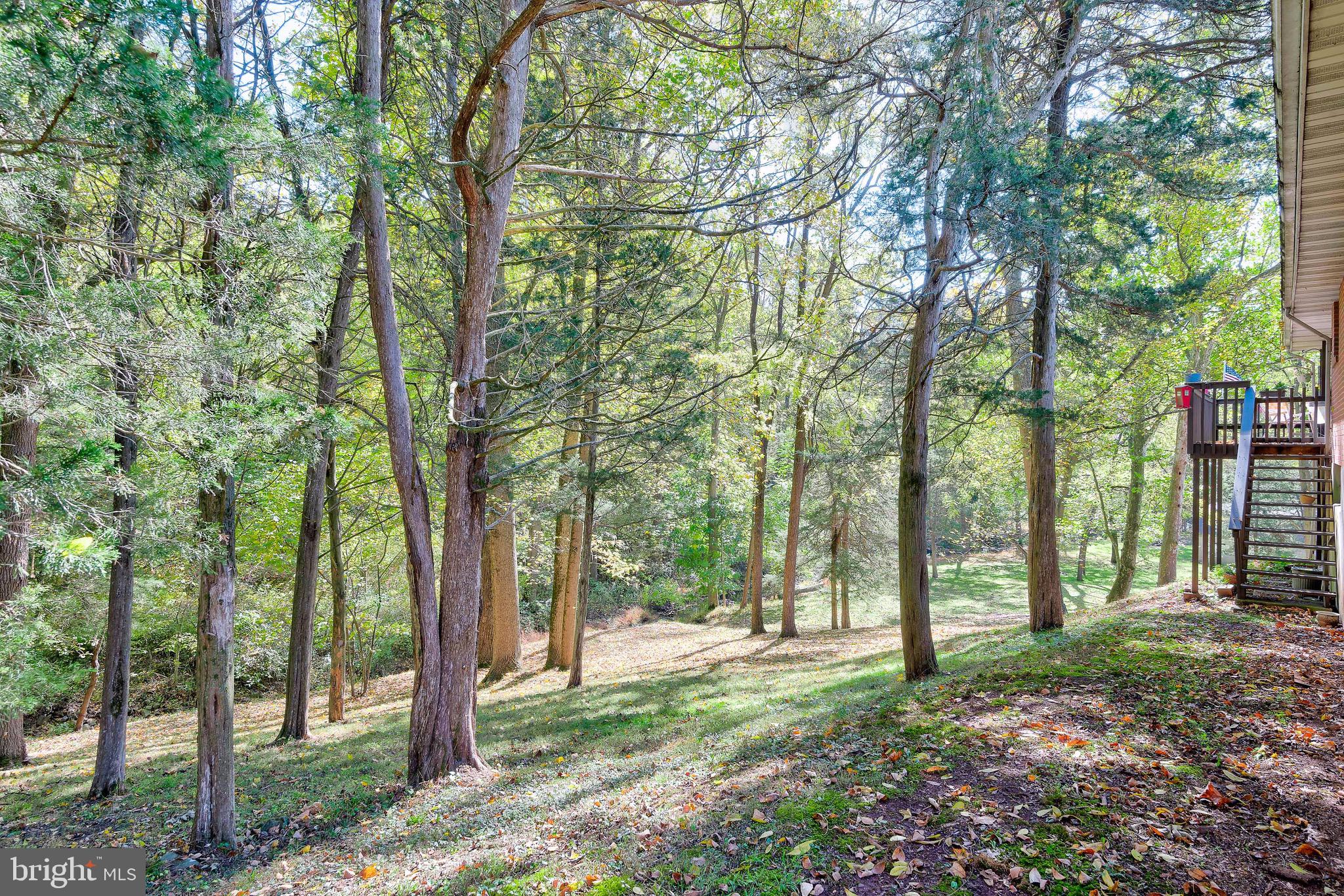 100 Roundtop Road Middletown, PA 17057 - Photo 5 of 60 Gallery Image 5