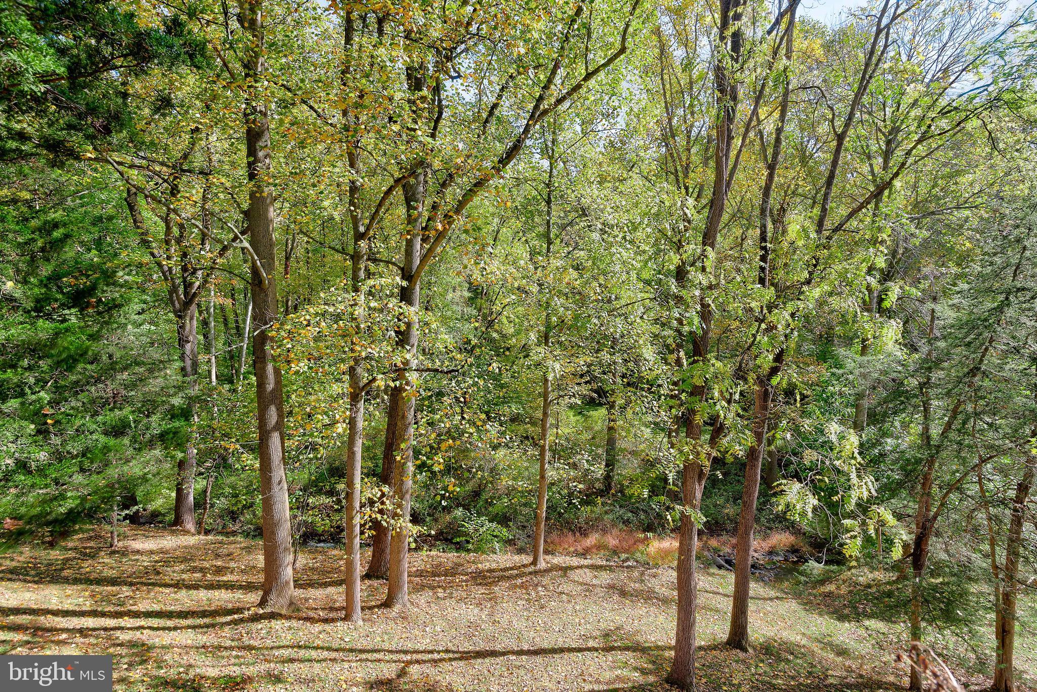 100 Roundtop Road Middletown, PA 17057 - Photo 7 of 60 Gallery Image 7