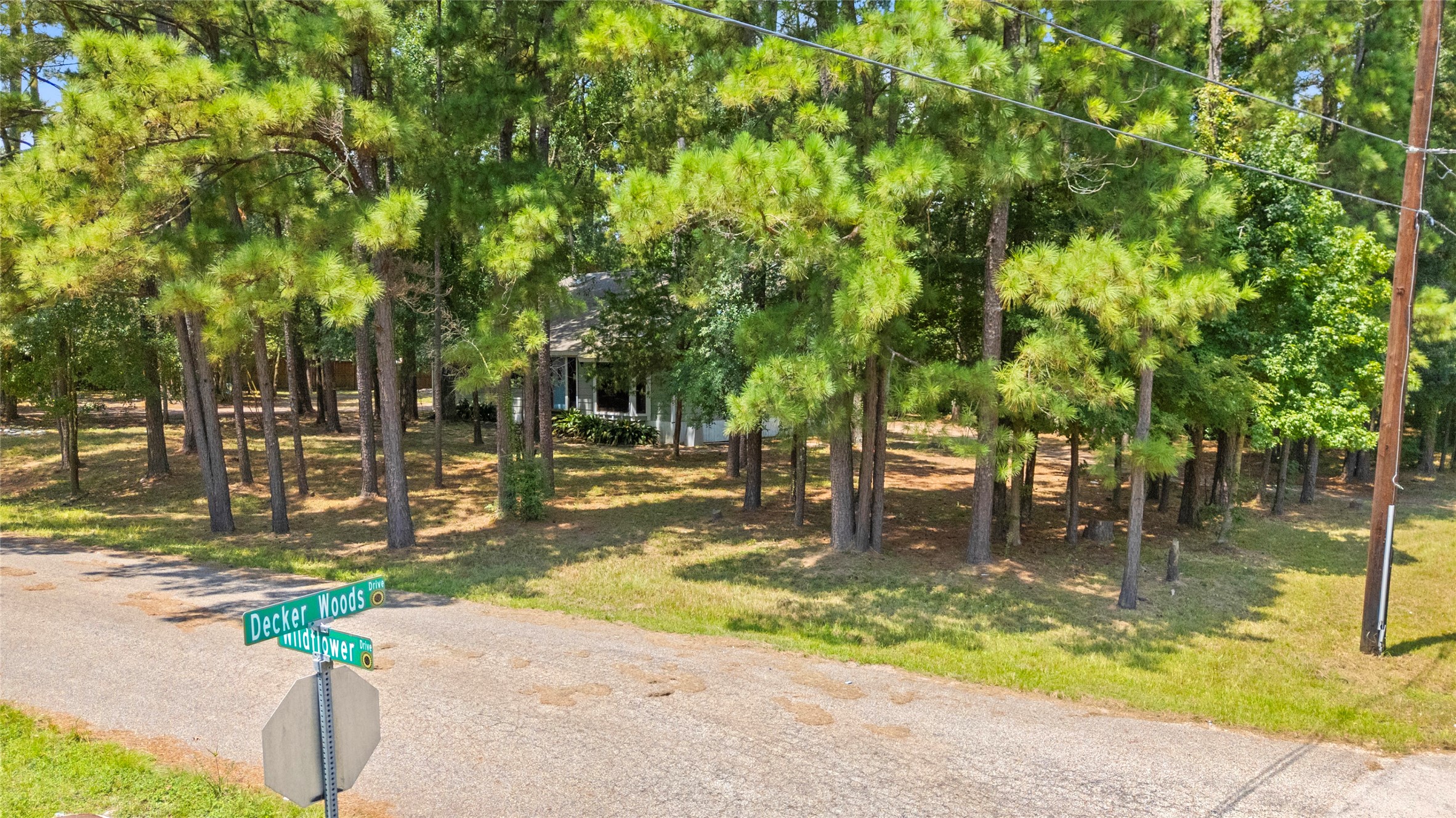 27607 Decker Woods Drive Magnolia, TX 77354 - Photo 37 of 48 a backyard of a house with table and chairs