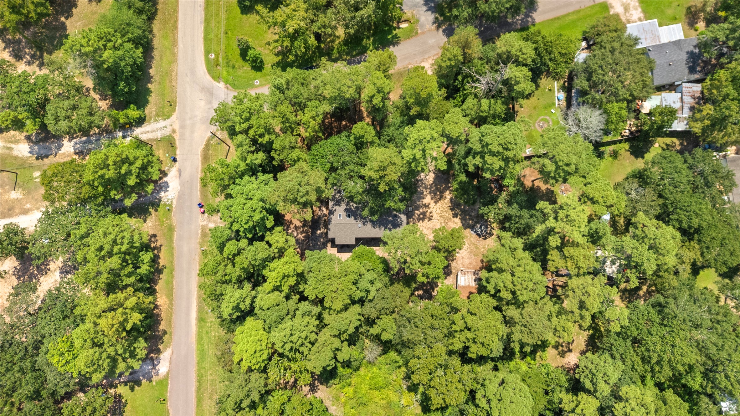 27607 Decker Woods Drive Magnolia, TX 77354 - Photo 44 of 48 a close up of a tree