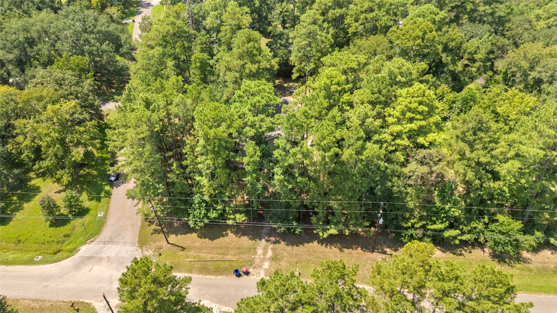 27607 Decker Woods Drive Magnolia, TX 77354 - Photo 45 of 48 a view of a yard