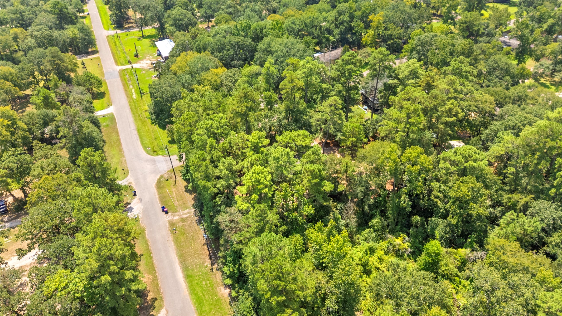 27607 Decker Woods Drive Magnolia, TX 77354 - Photo 46 of 48