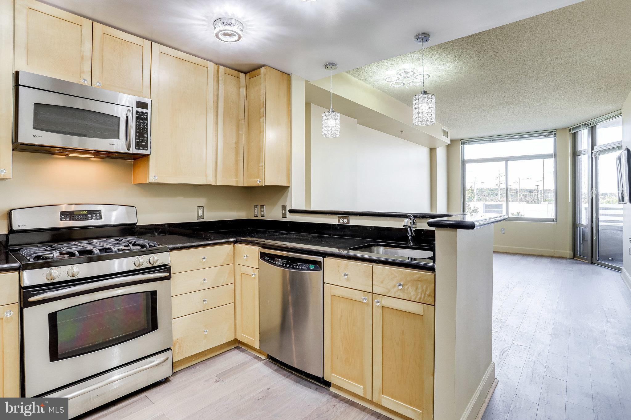 3600 South Glebe Road, Unit 208W Arlington, VA 22202 - Photo 30 of 61