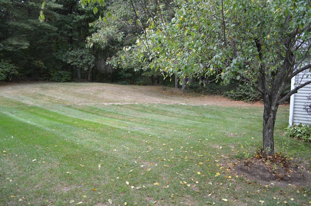 19 Stone Ridge Road, Unit 19 Franklin, MA 02038 - Photo 22 of 24 Gallery Image 22