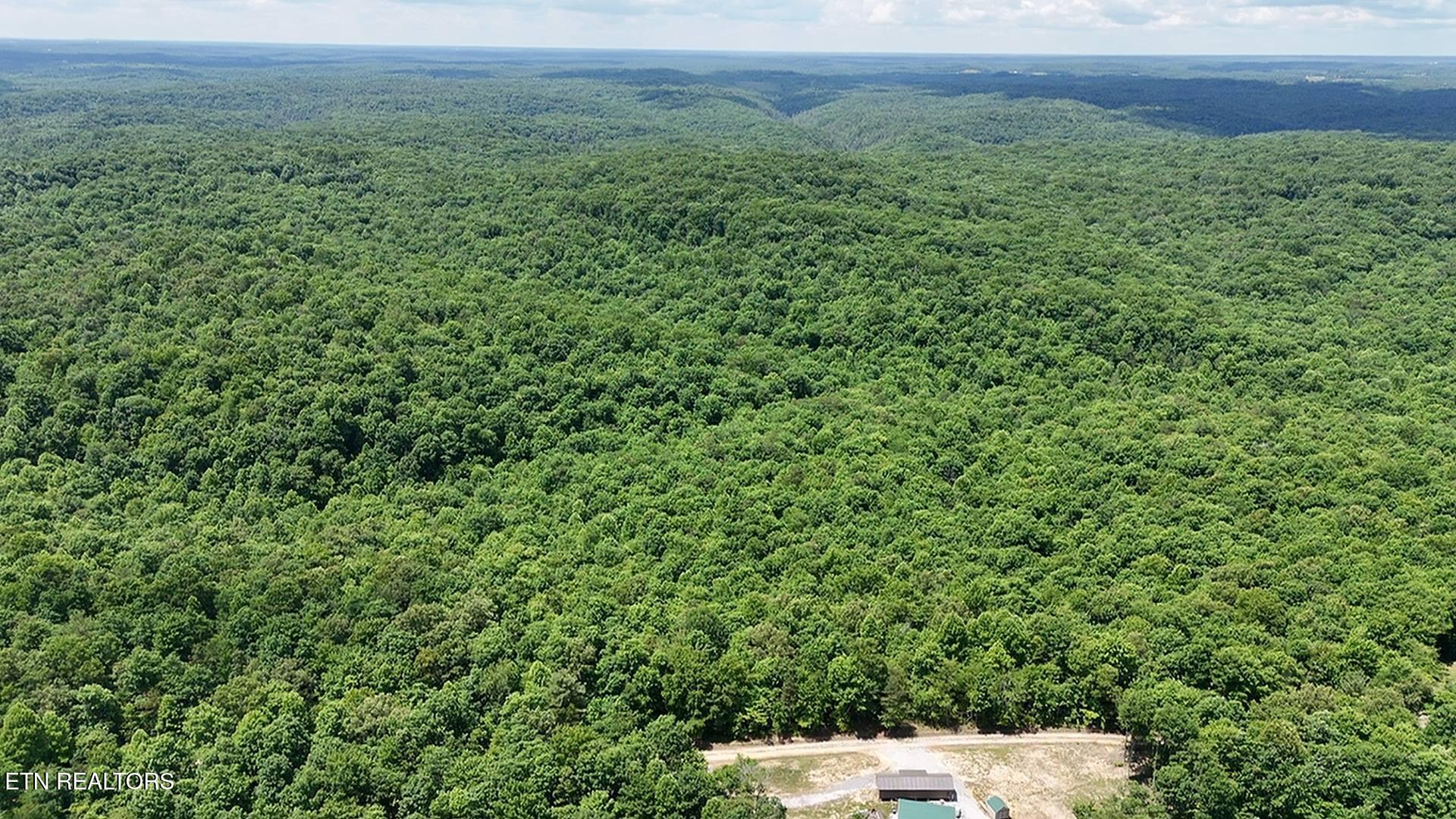 0 Sheep Ranch Road Robbins, TN 37852 - Photo 15 of 29 13srd