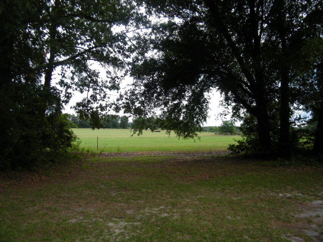 200 Grady Pond Road Batesburg, SC 29006 - Photo 29 of 33