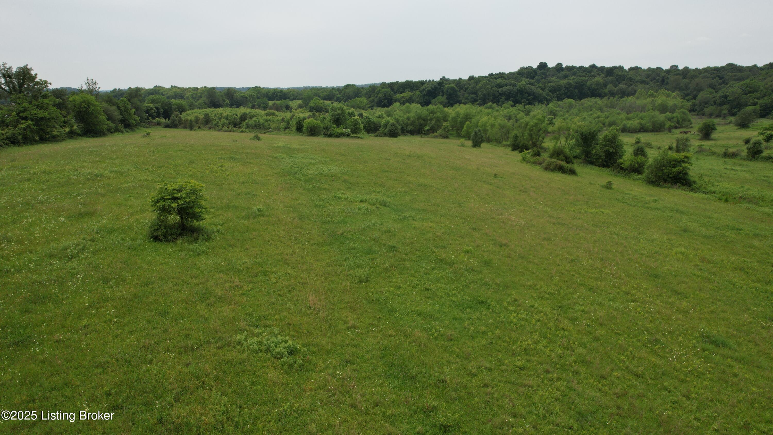 0 Upton Road Upton, KY 42784 - Photo 21 of 71 DJI_0949