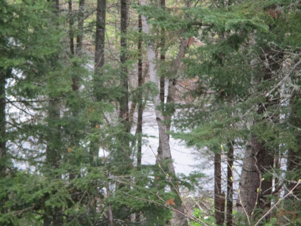 63 Windmill Road Stratton, ME 04982 - Photo 2 of 25 Hinkley Eustis 060 (Custom)