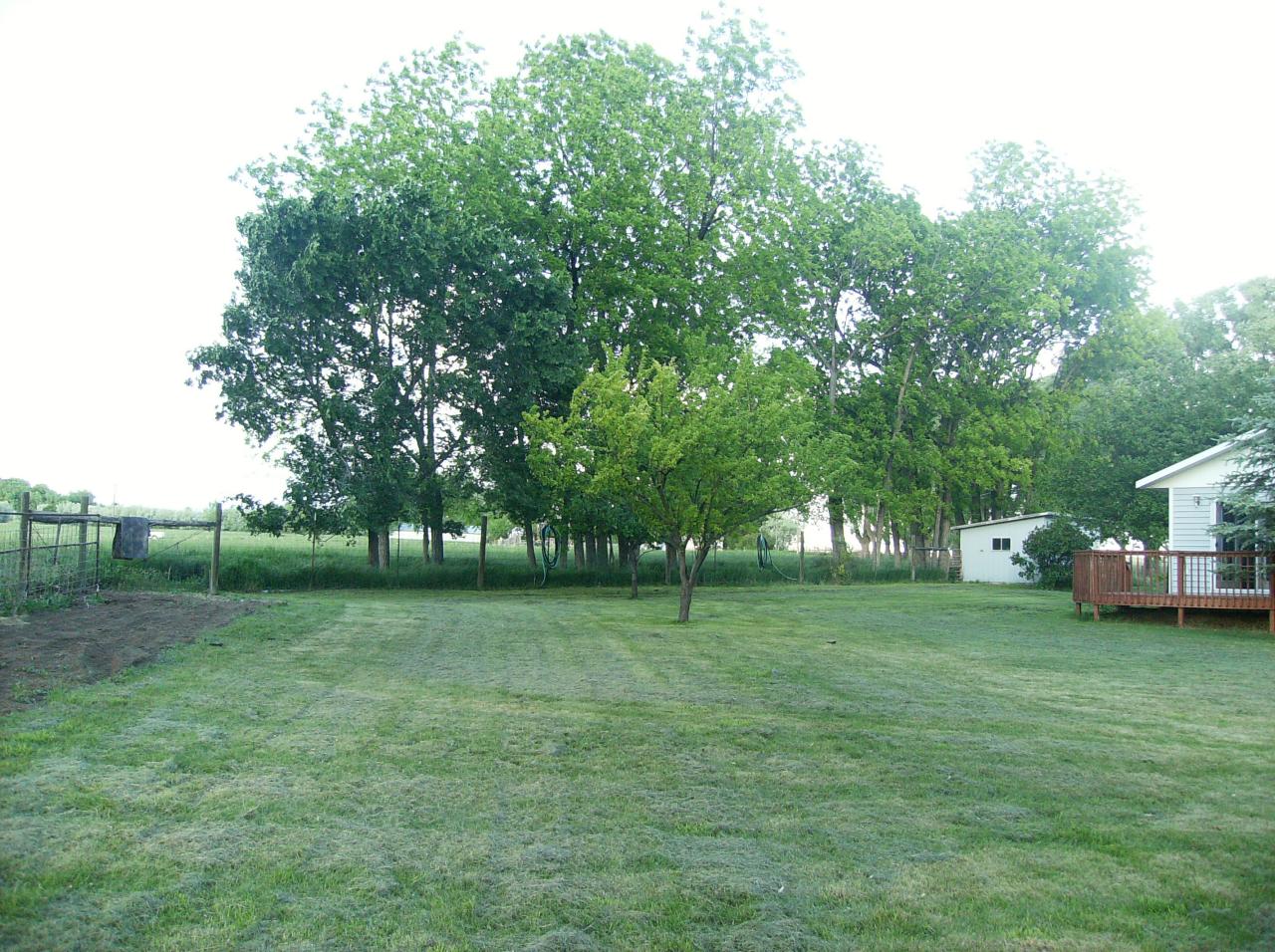 29637 30th Road Nucla, CO 81424 - Photo 5 of 8 a view of a field of grass and trees