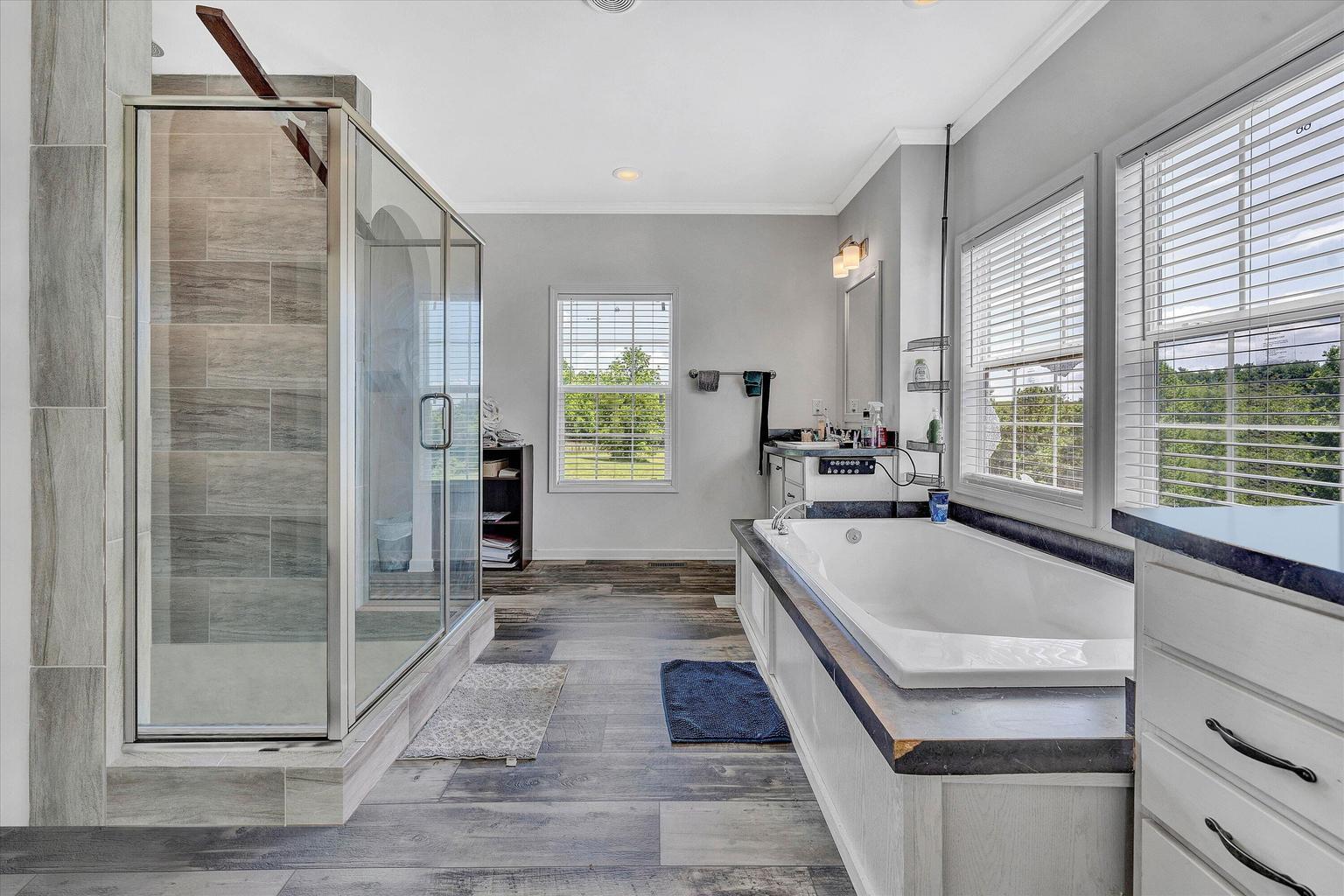 92 Game Trail Drive Ferrum, VA 24088 - Photo 3 of 19 a spacious bathroom with a tub a window and a shower
