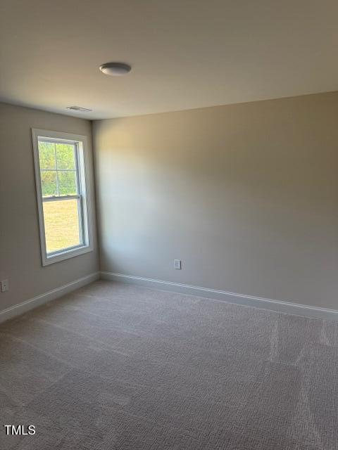 23 Surles Landing Way Benson, NC 27504 - Photo 12 of 18 an empty room with windows