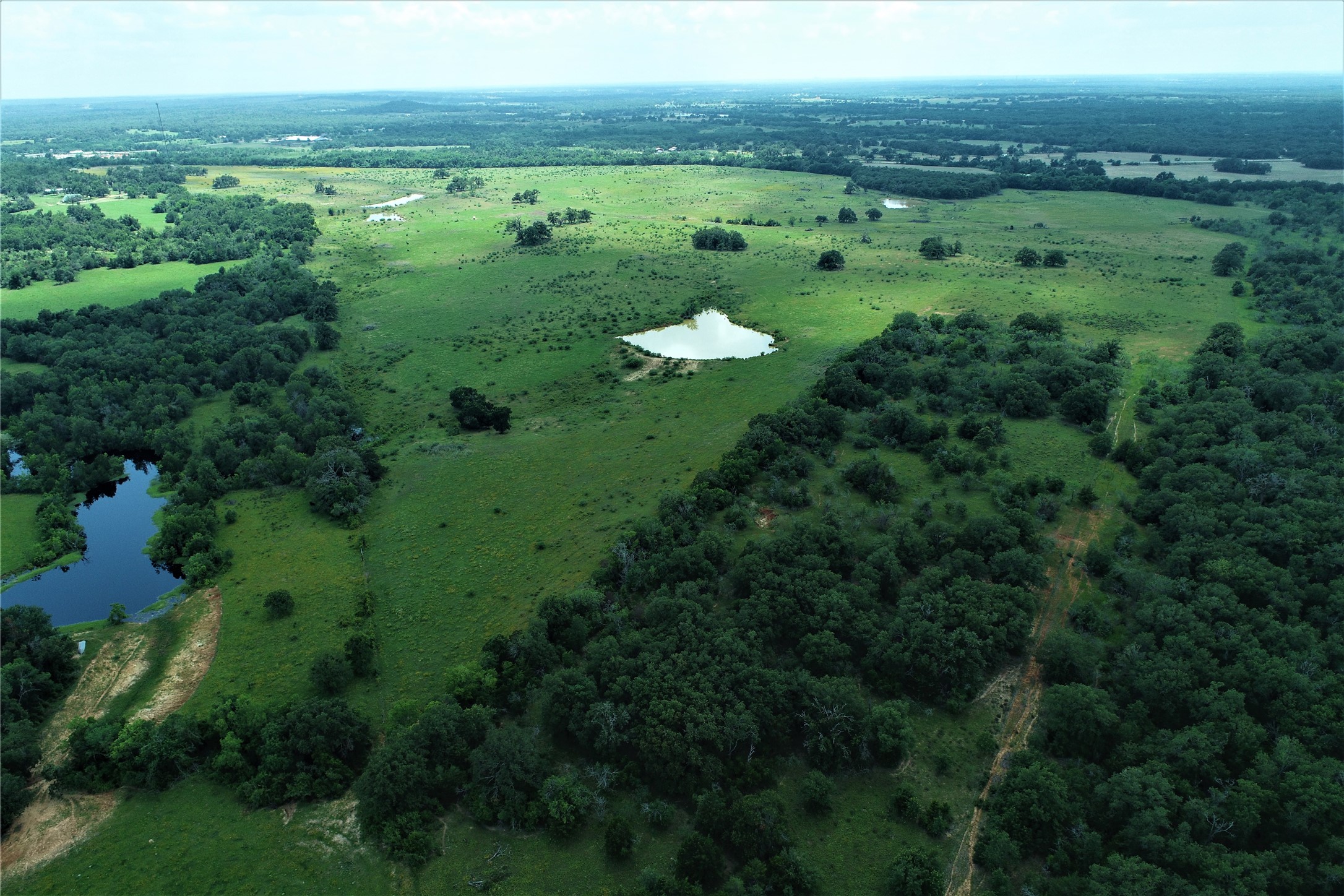 Tbd Cannon Snap Road Milano, TX 76556 - Photo 2 of 7 a view of a grassy area with an trees
