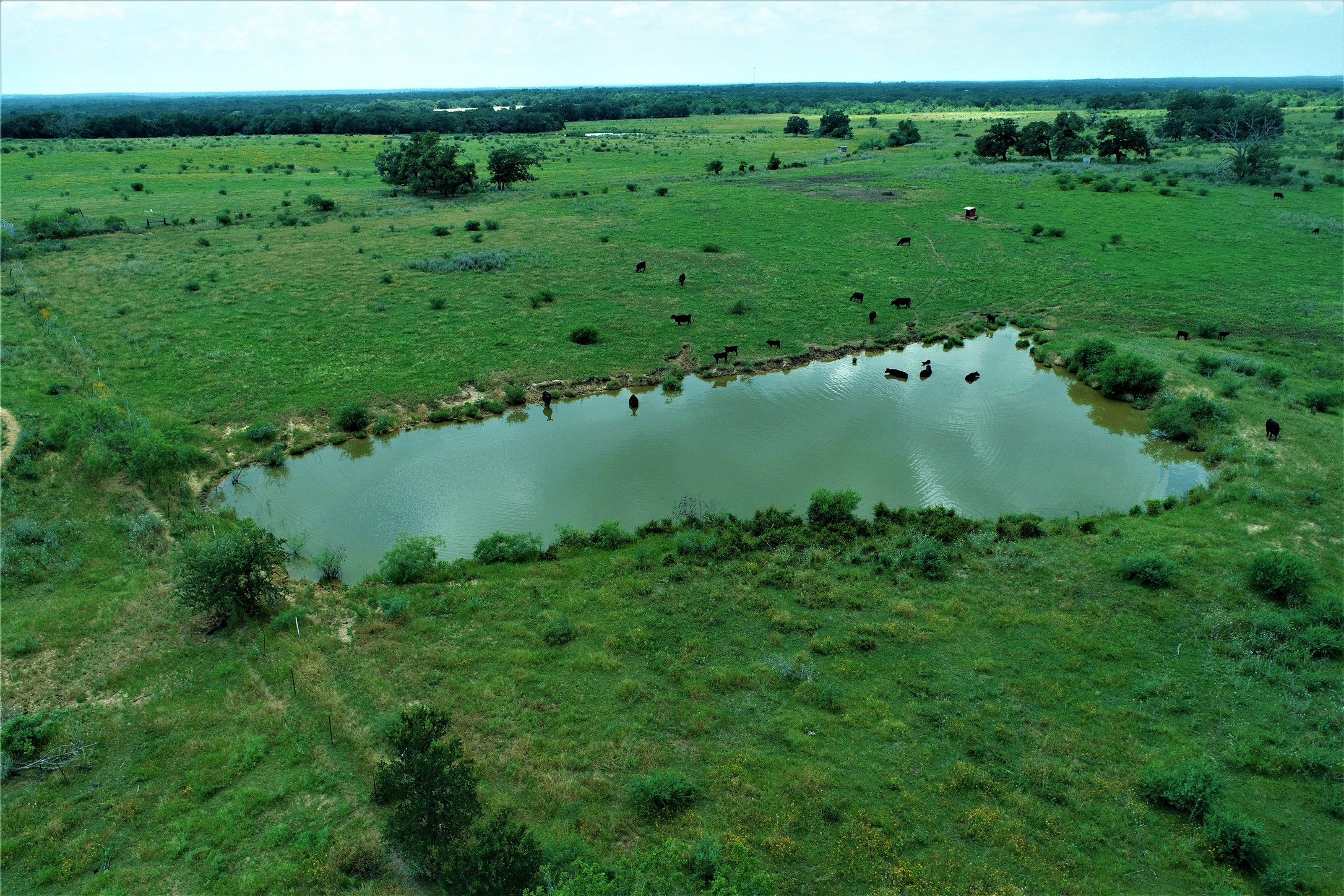 Tbd Cannon Snap Road Milano, TX 76556 - Photo 3 of 7 a view of a lush green space