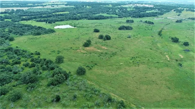 a view of a green field with lots of bushes