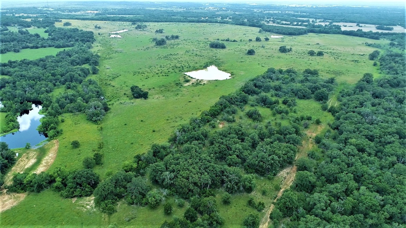 Tbd Cannon Snap Road Milano, TX 76556 - Photo 4 of 7 a view of a lush green forest with lots of trees