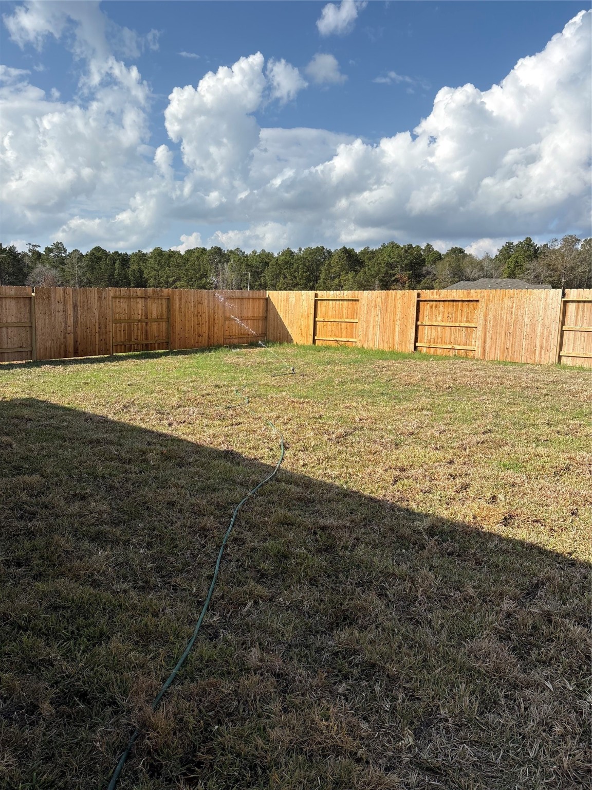 16059 Tallis Drive Conroe, TX 77303 - Photo 5 of 10 a view of an ocean beach