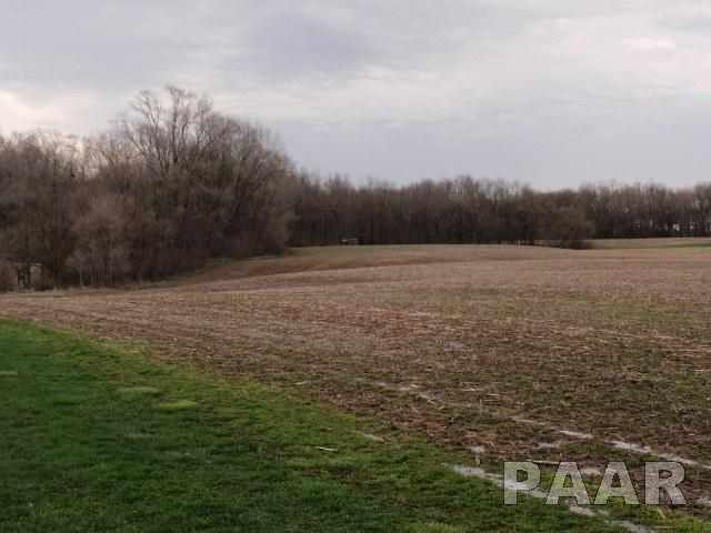 0 South Walters School Road Mapleton, IL 61547 - Photo 3 of 8 Gallery Image 3