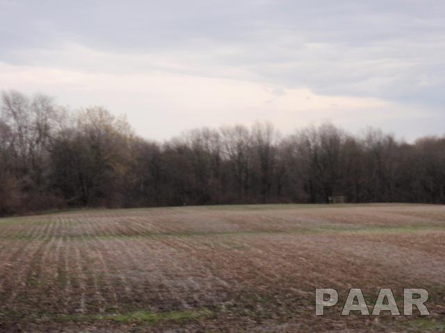 0 South Walters School Road Mapleton, IL 61547 - Photo 6 of 8 Gallery Image 6