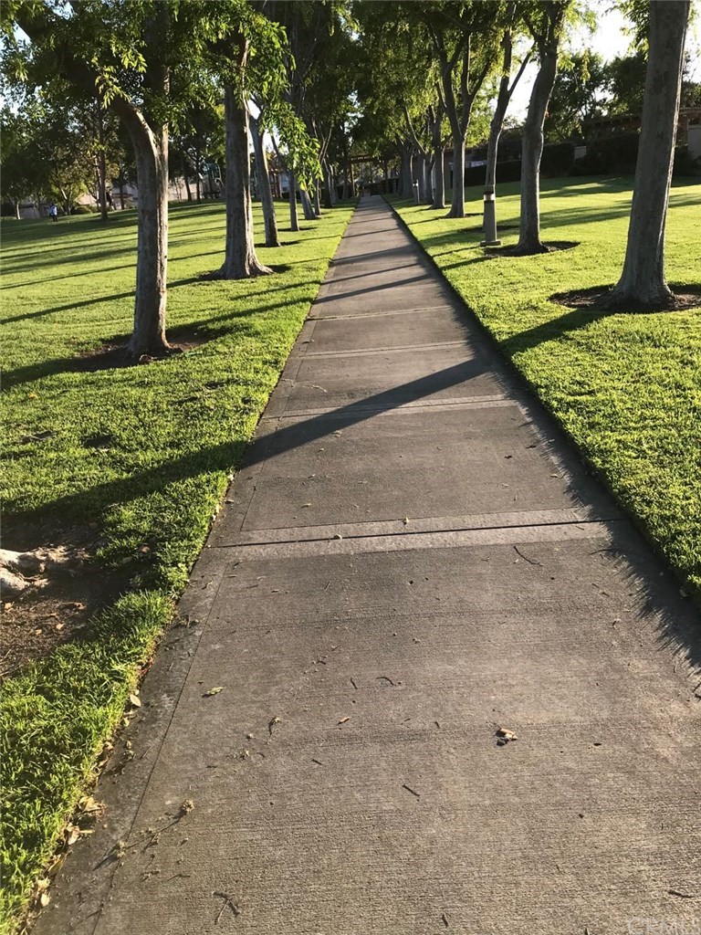 14 Columbia Irvine, CA 92612 - Photo 3 of 12 a park with large trees