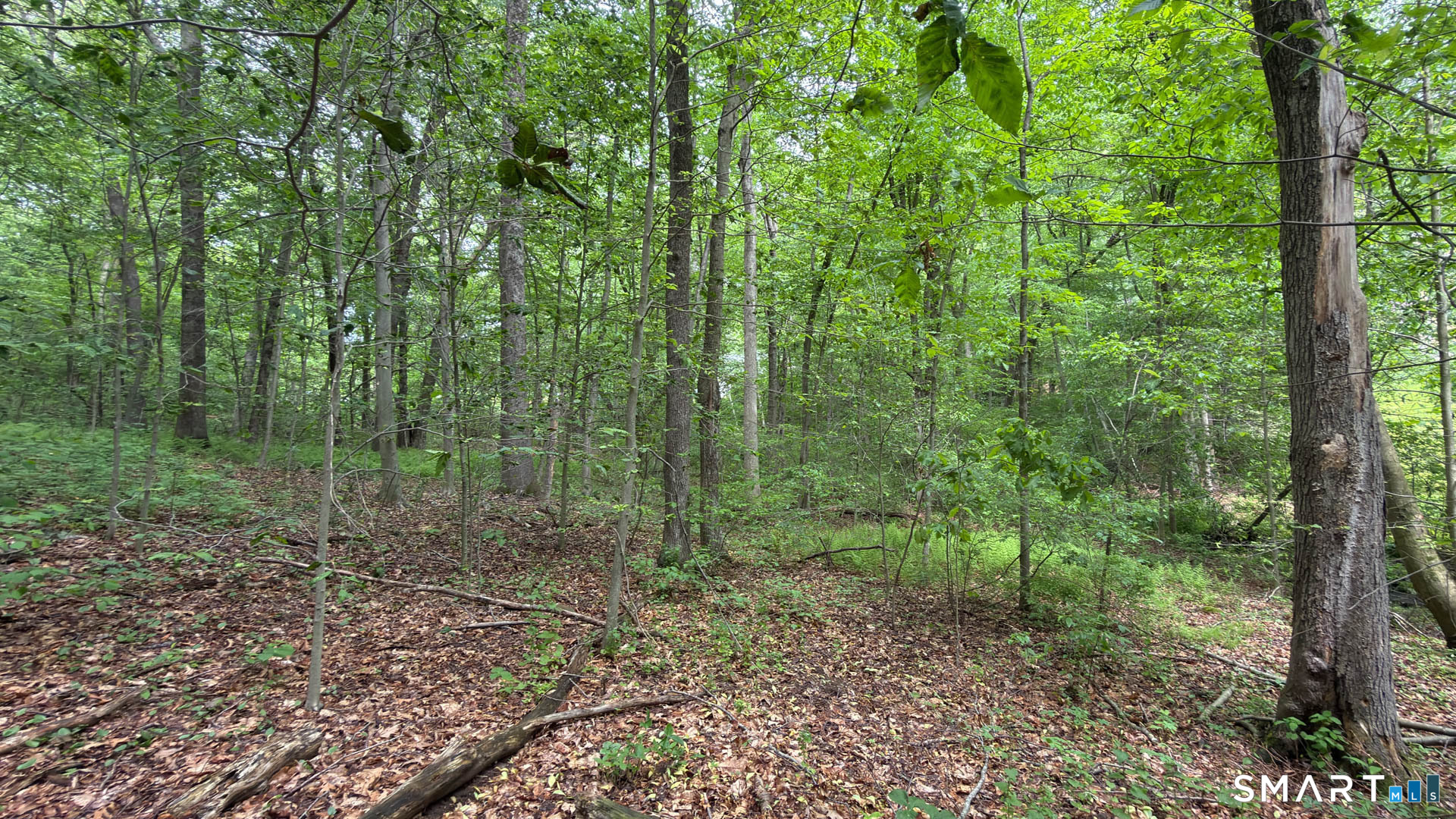 211 Grindle Brook Road Glastonbury, CT 06073 - Photo 10 of 10
