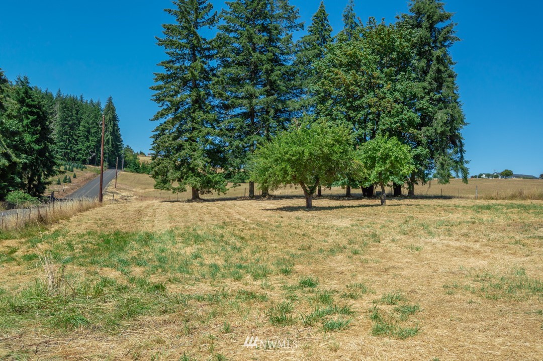112 Guiberson Road Winlock, WA 98596 - Photo 14 of 20