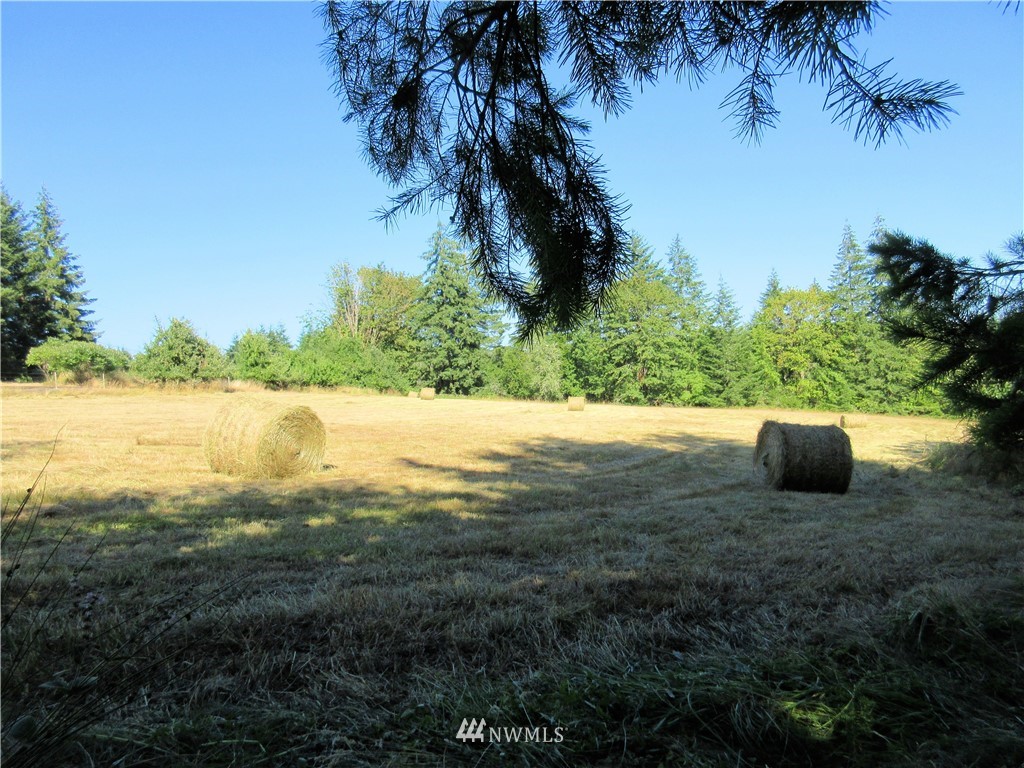 112 Guiberson Road Winlock, WA 98596 - Photo 15 of 20