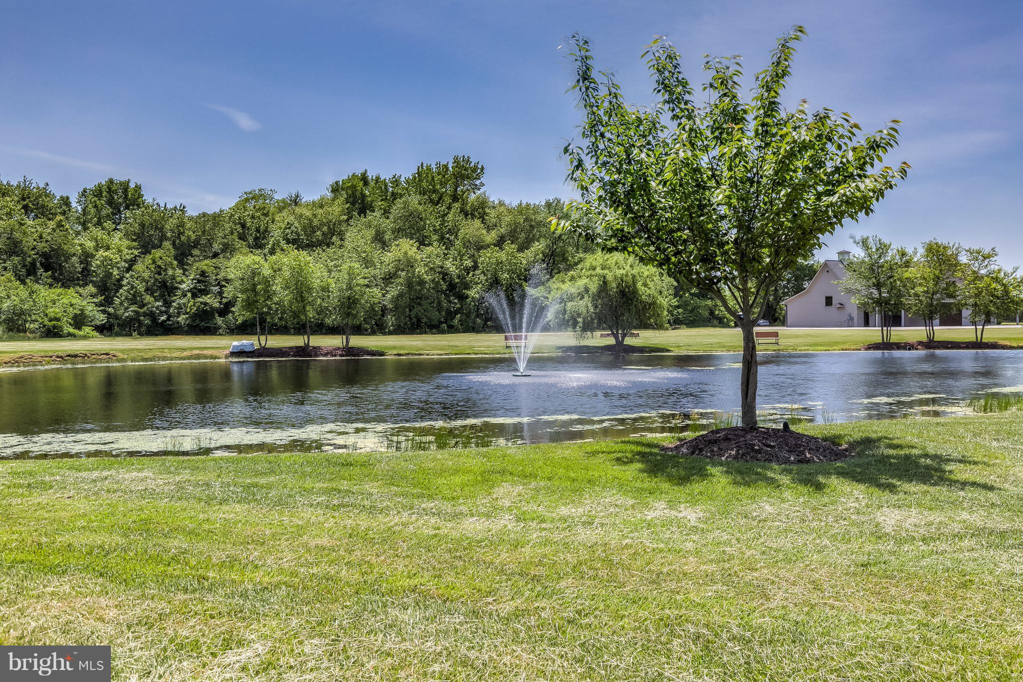 7402 Kent Point Road Stevensville, MD 21666 - Photo 126 of 134 Forest conservation area across from pond