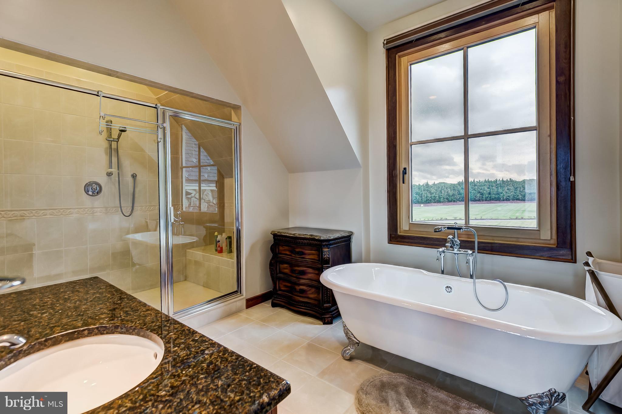 7402 Kent Point Road Stevensville, MD 21666 - Photo 78 of 134 Custom soaking tub and massive shower