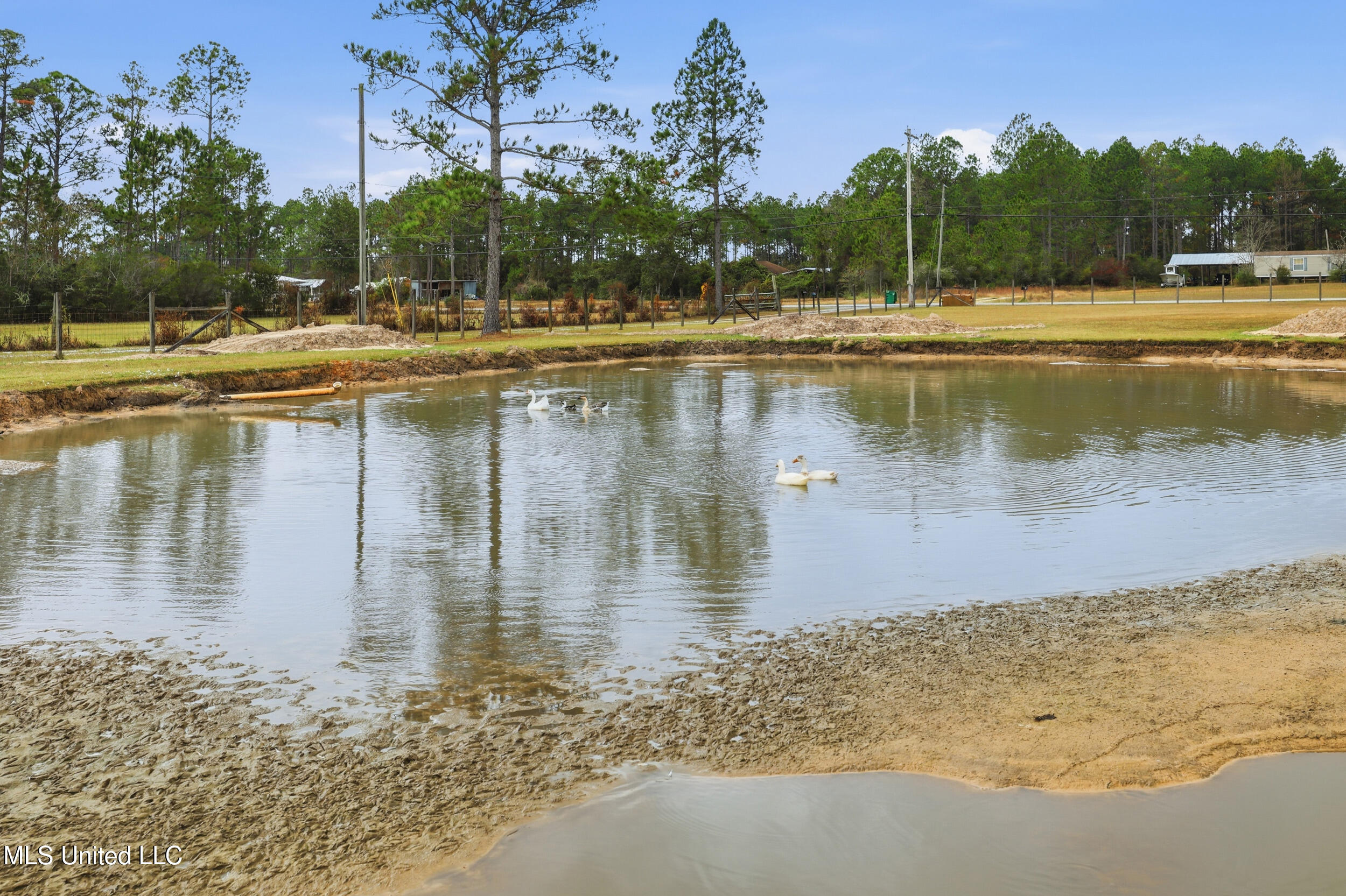13206 Ridgeland Road Vancleave, MS 39565 - Photo 11 of 42 pond with ducks