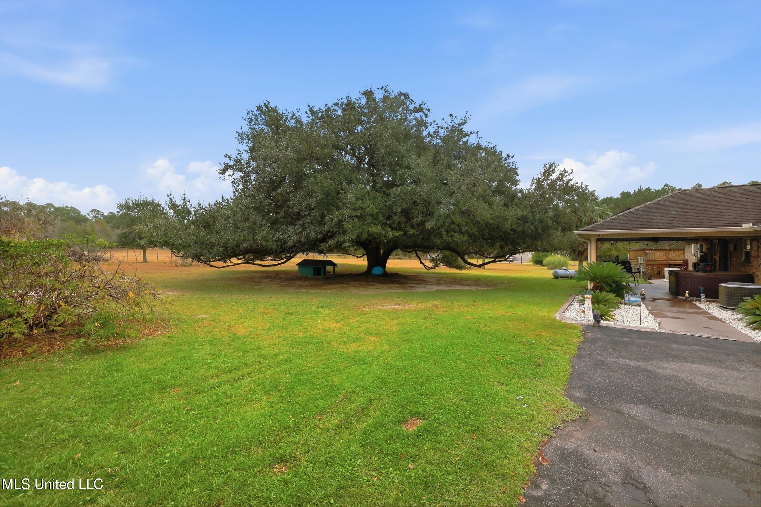 13206 Ridgeland Road Vancleave, MS 39565 - Photo 32 of 42 BACKYARD SHADE
