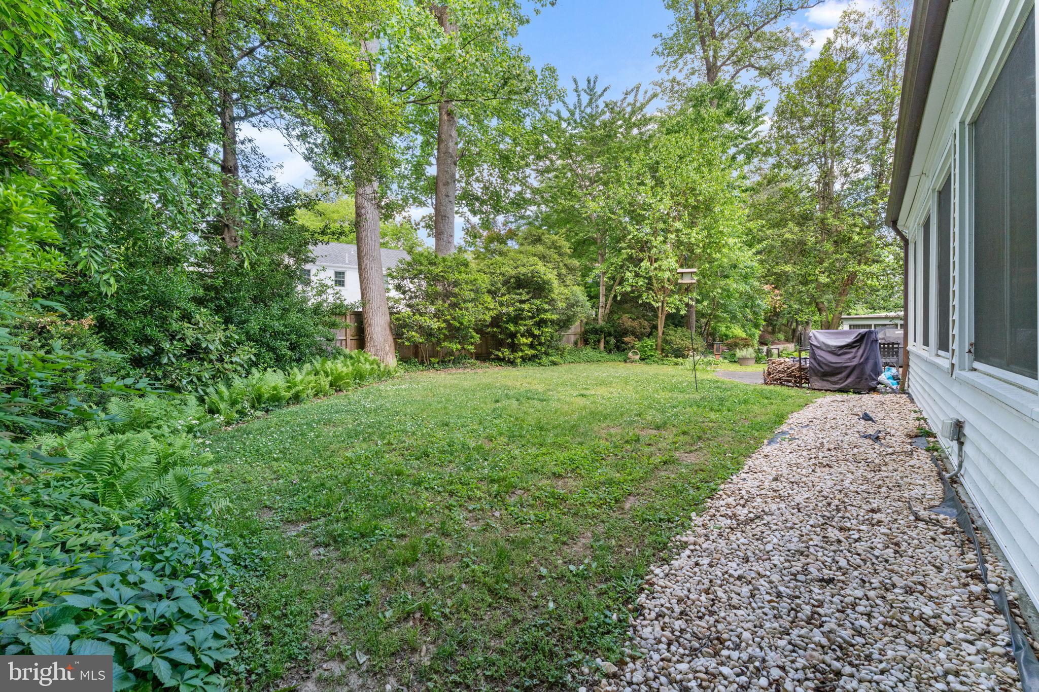 5121 Baltan Road Bethesda, MD 20816 - Photo 44 of 54 Lush green retreat in a serene setting.