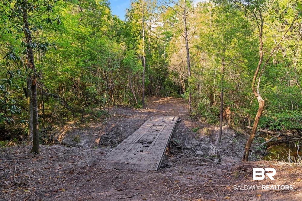 11100 Kali Oka Road Eight Mile, AL 36613 - Photo 31 of 49