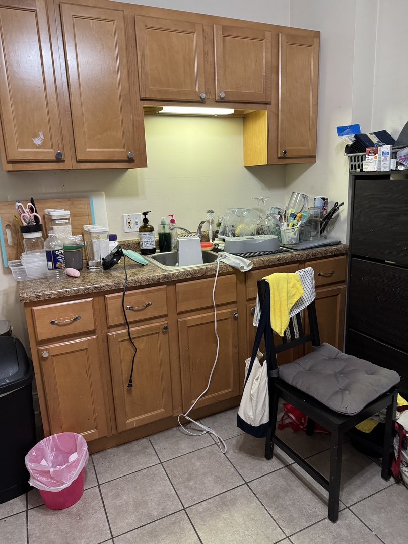 3145 South May Street, Unit 1F Chicago, IL 60608 - Photo 5 of 11