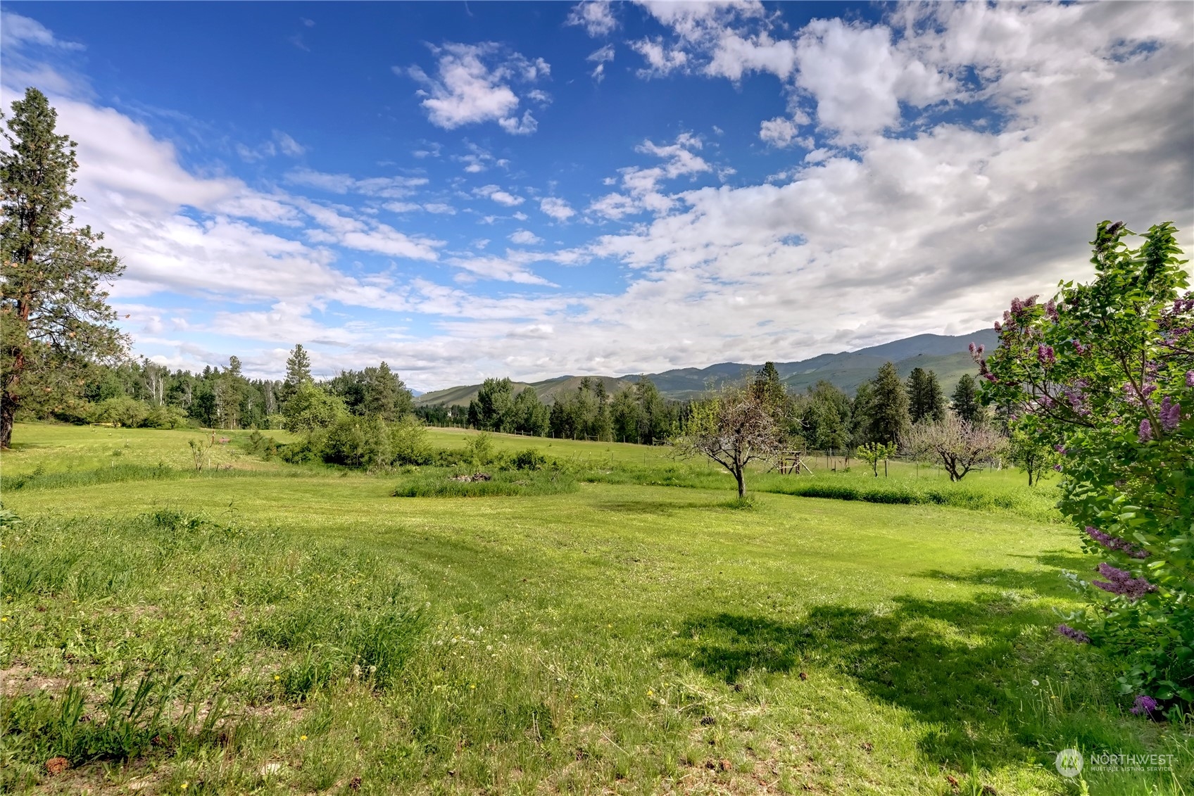 6 Rising Eagle Road Twisp, WA 98856 - Photo 38 of 40 a view of an outdoor space and yard