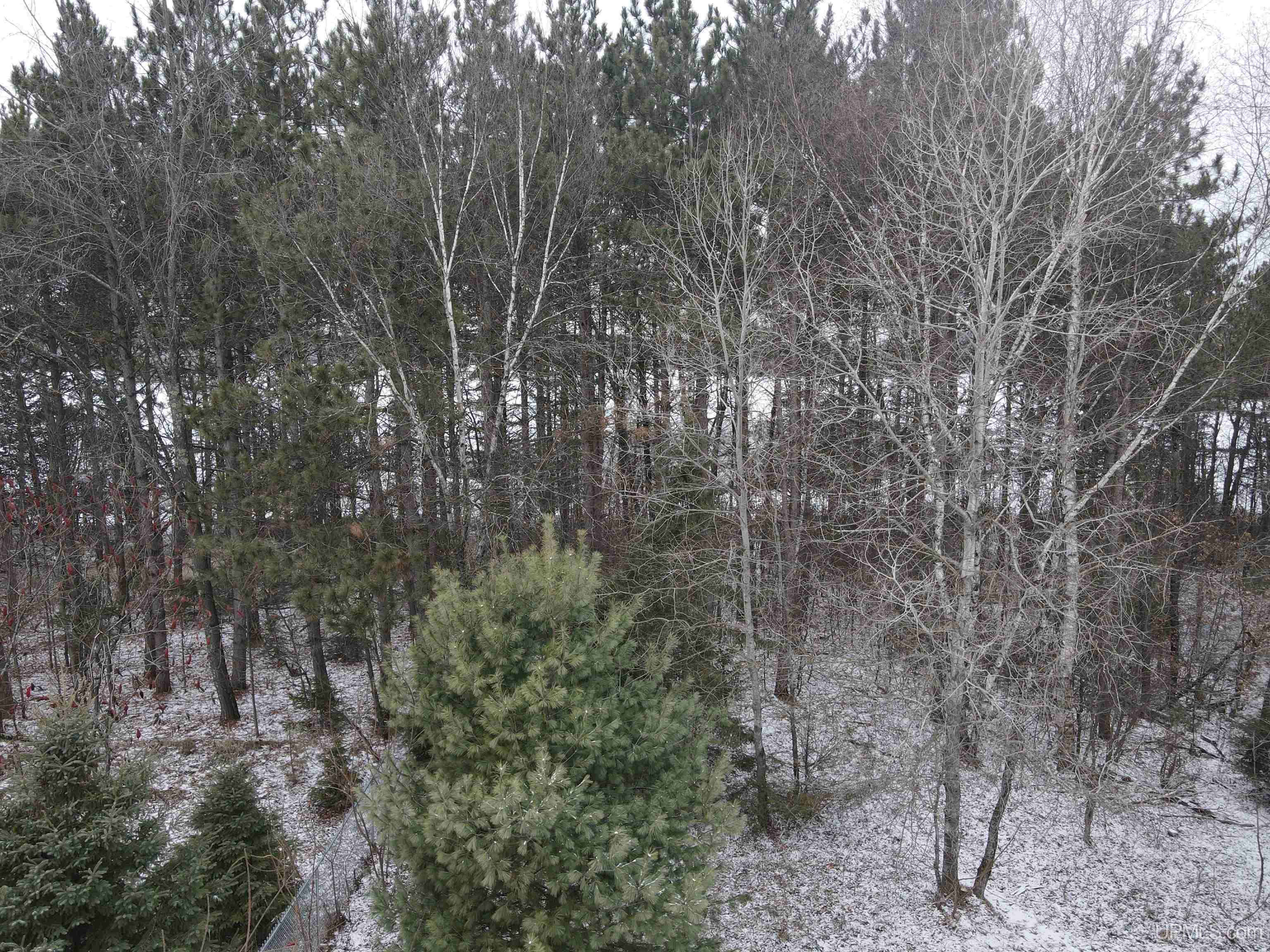N7533 County G Road Gresham, WI 54128 - Photo 61 of 81 Gallery Image 61