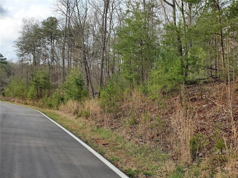 3511 Bear Creek Point Jasper, GA 30143 - Photo 1 of 4 a view of a forest filled with trees