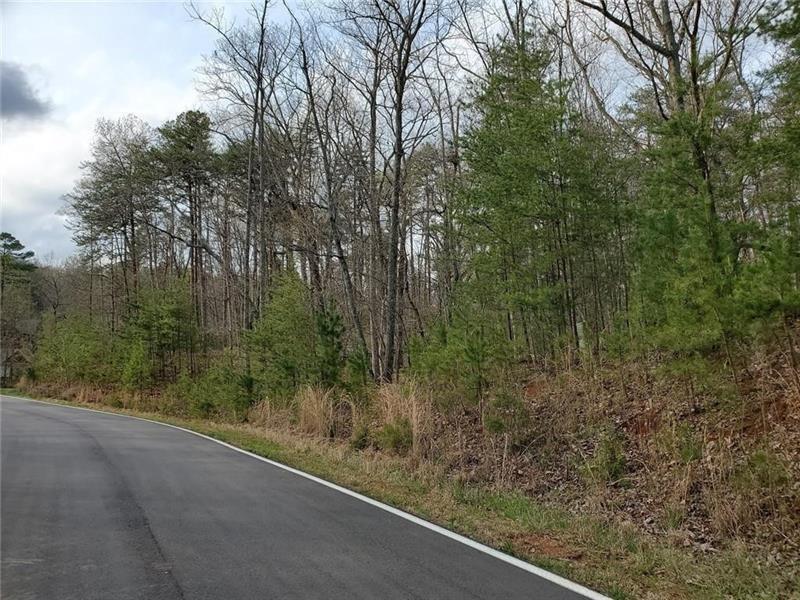 3511 Bear Creek Point Jasper, GA 30143 - Photo 3 of 4 a view of a forest