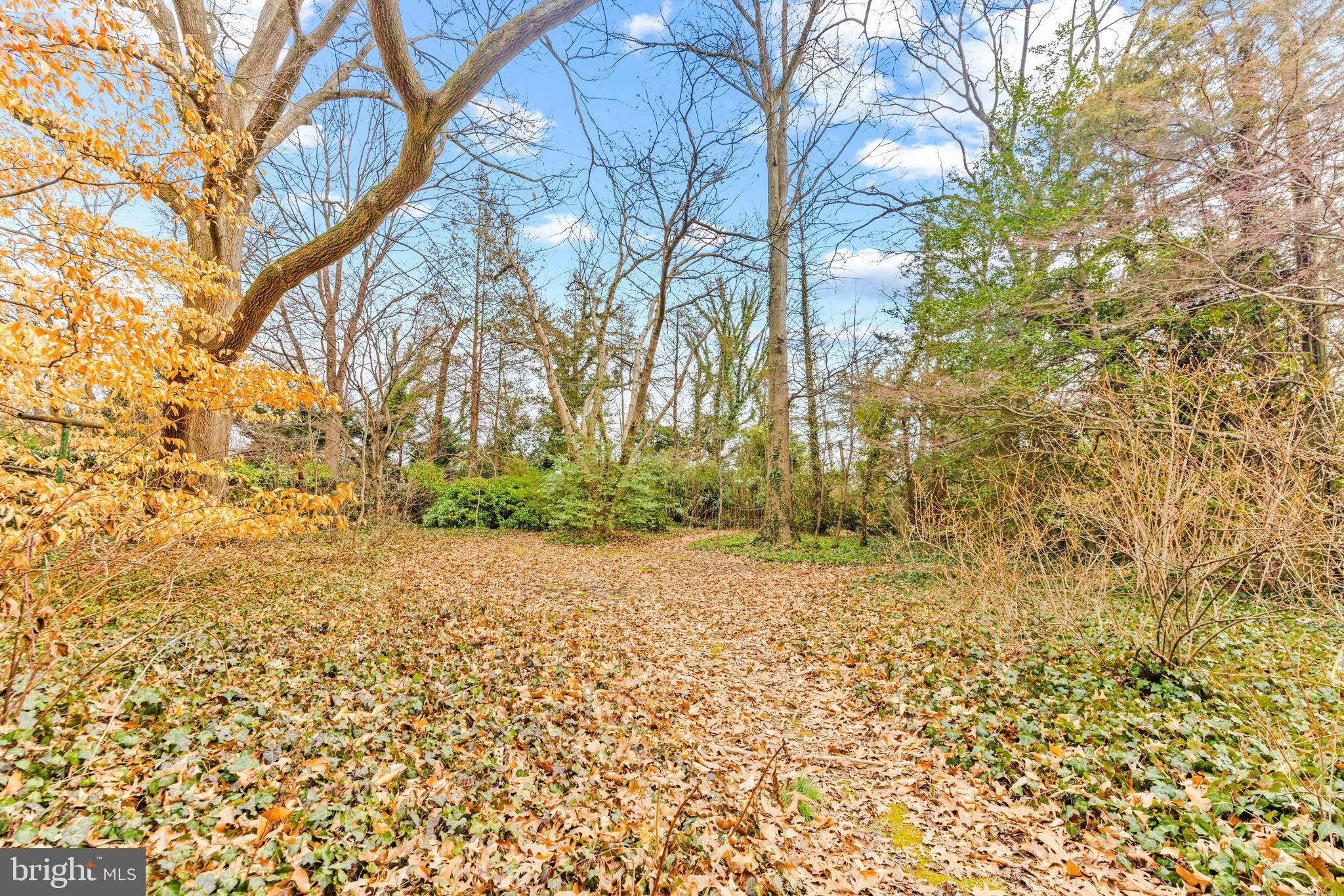 6405 Pinehurst Road Baltimore, MD 21212 - Photo 51 of 57