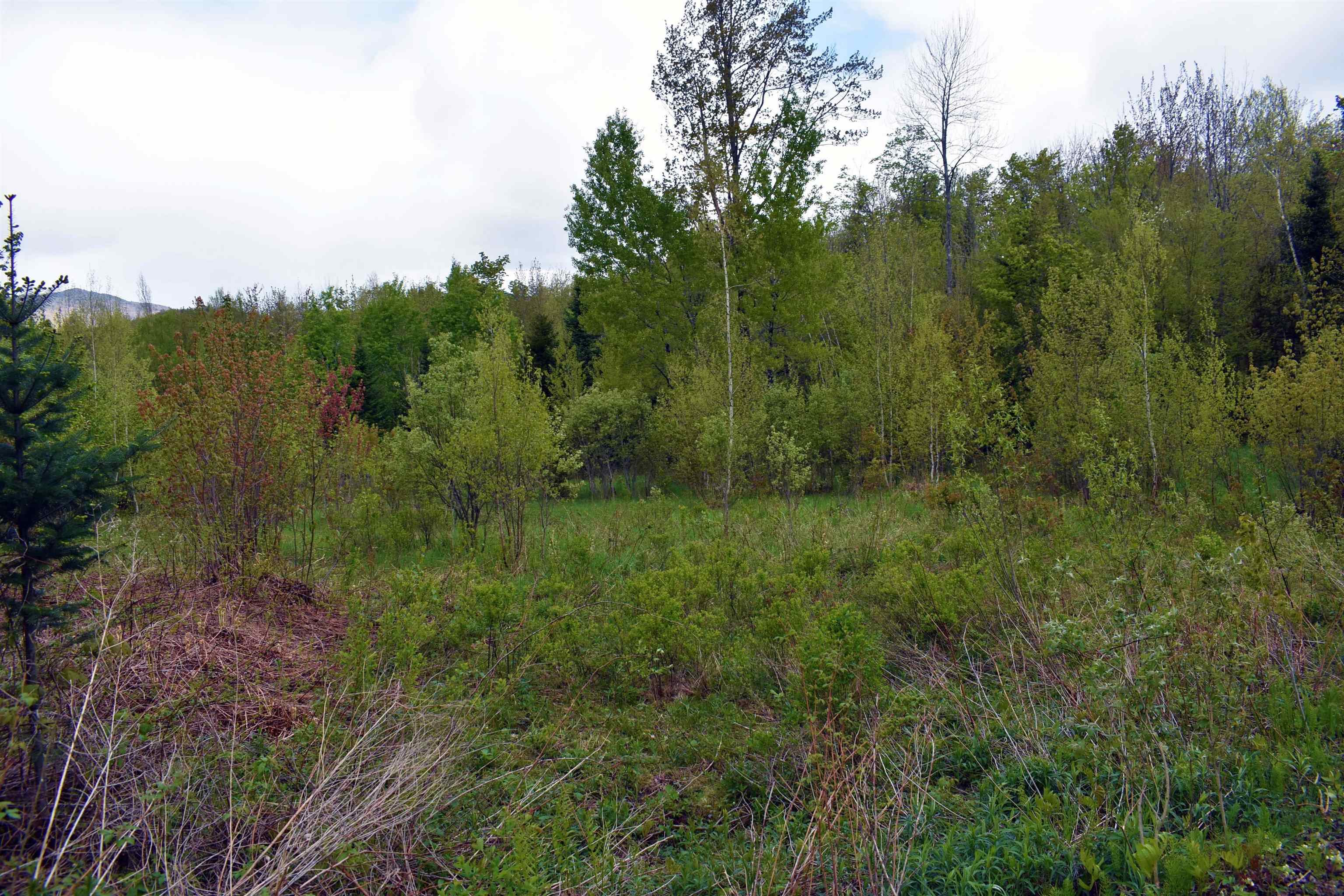 130 Newton Road Lowell, VT 05847 - Photo 12 of 19