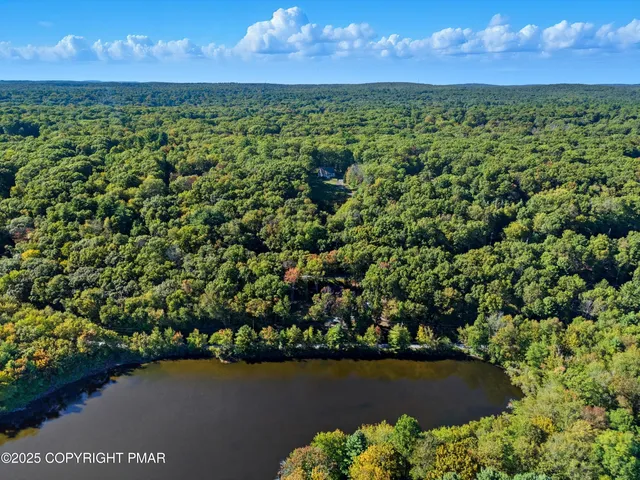 a view of a garden with an ocean