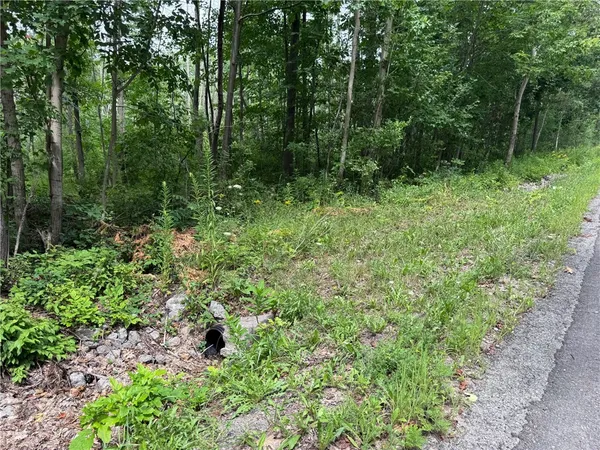 $125,000 | 0 Stagecoach Road, Conesus, NY 14435
