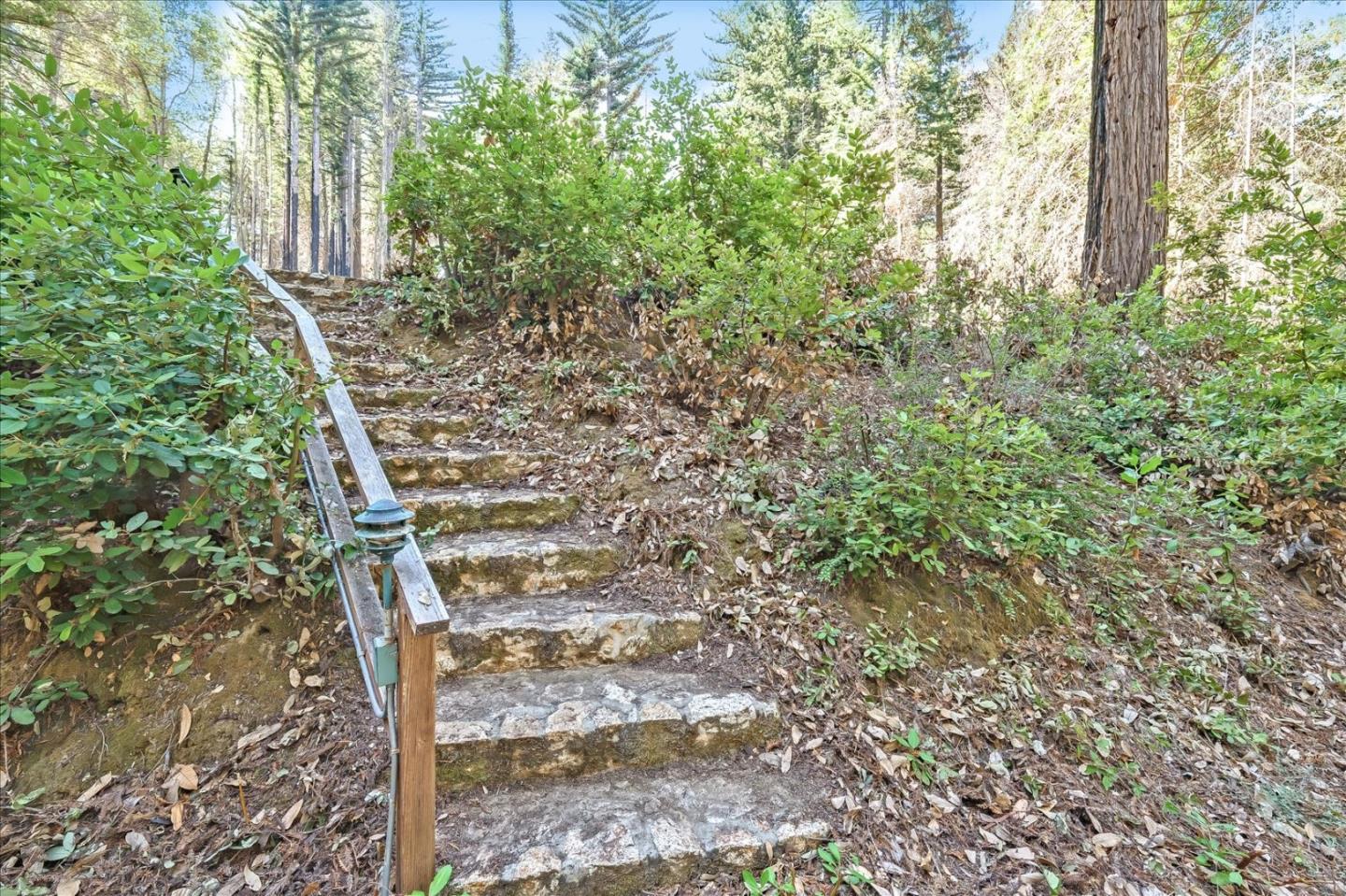 12060 Alba Road Ben Lomond, CA 95005 - Photo 4 of 36 a view of an outdoor space
