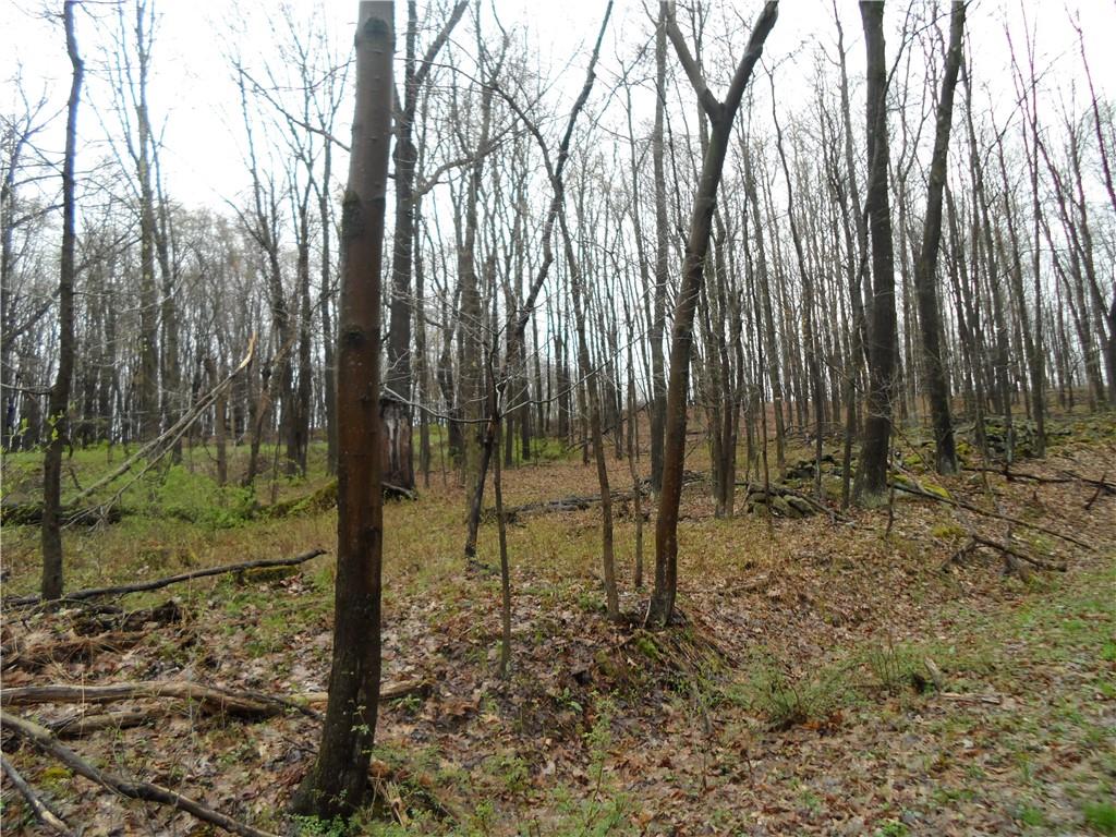 0 Bullion Road Polk, PA 16342 - Photo 1 of 8 a backyard of a house with a trees