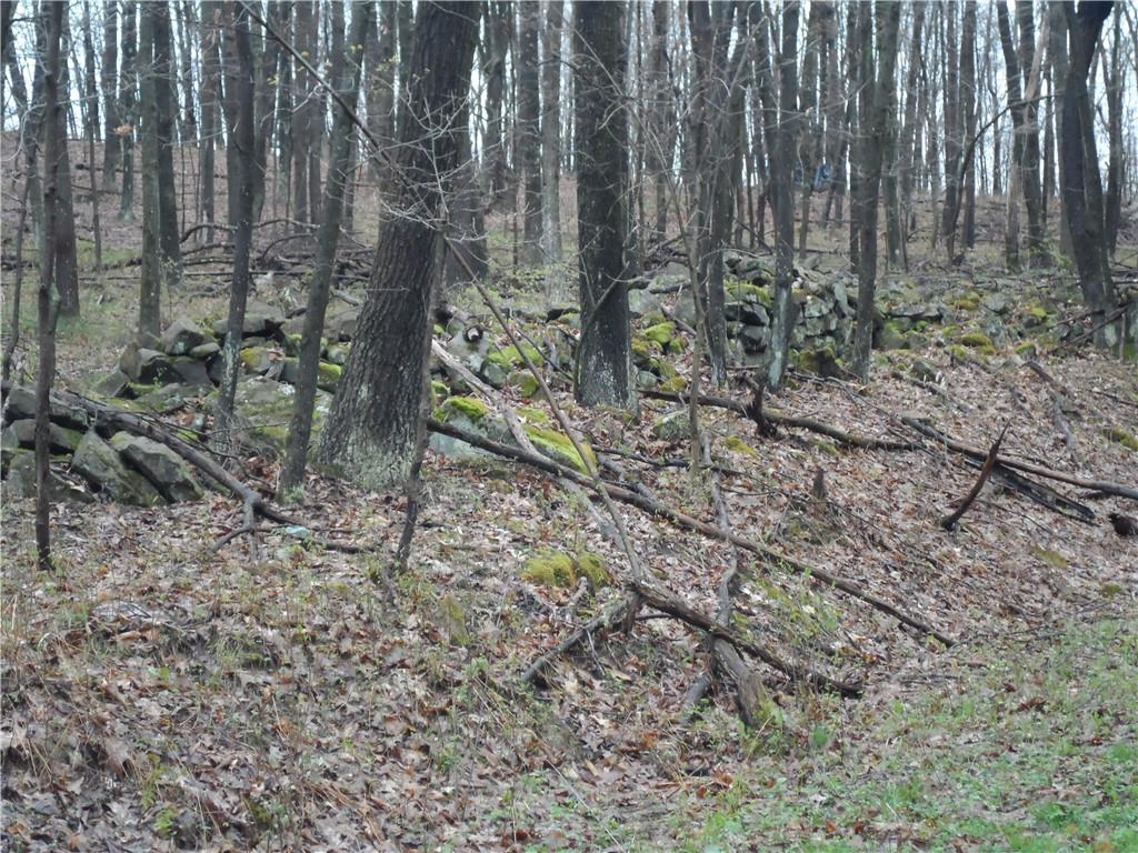 0 Bullion Road Polk, PA 16342 - Photo 2 of 8 a backyard of a house with lots of green space