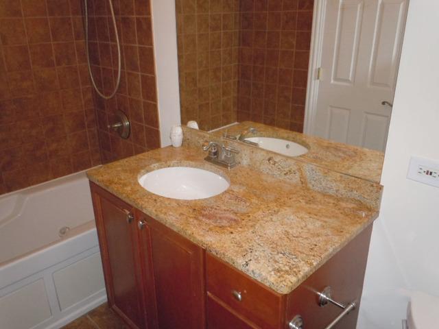 1752 East Corktree Lane Mount Prospect, IL 60056 - Photo 14 of 20 a bathroom with a granite countertop sink and a mirror