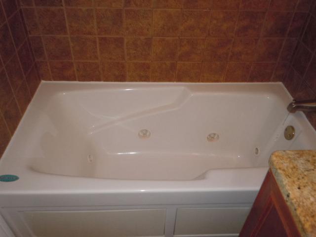 1752 East Corktree Lane Mount Prospect, IL 60056 - Photo 15 of 20 a bathroom with a bathtub