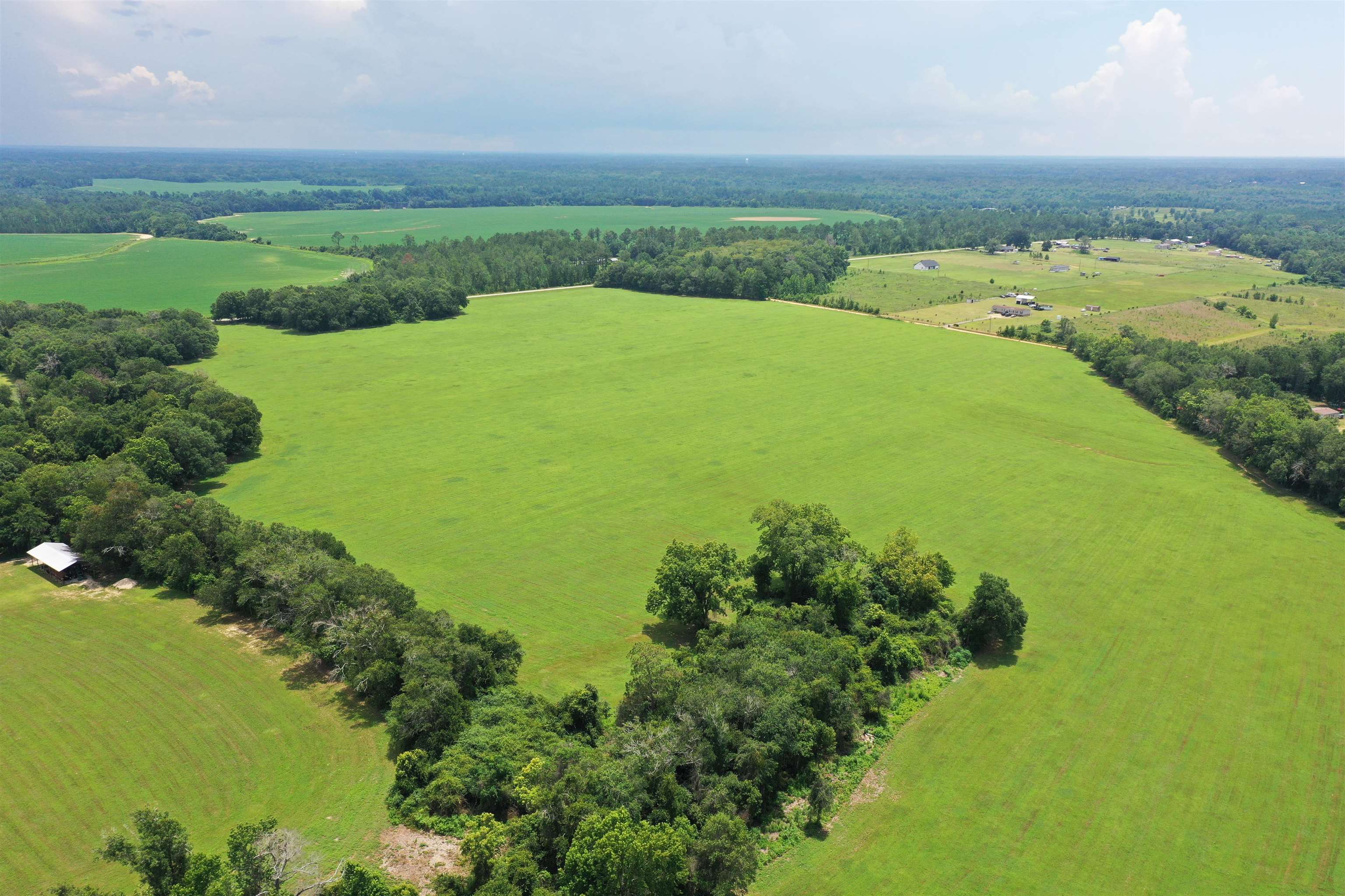 Xx Xx Max Herrin Road Quincy, FL 32352 - Photo 13 of 46