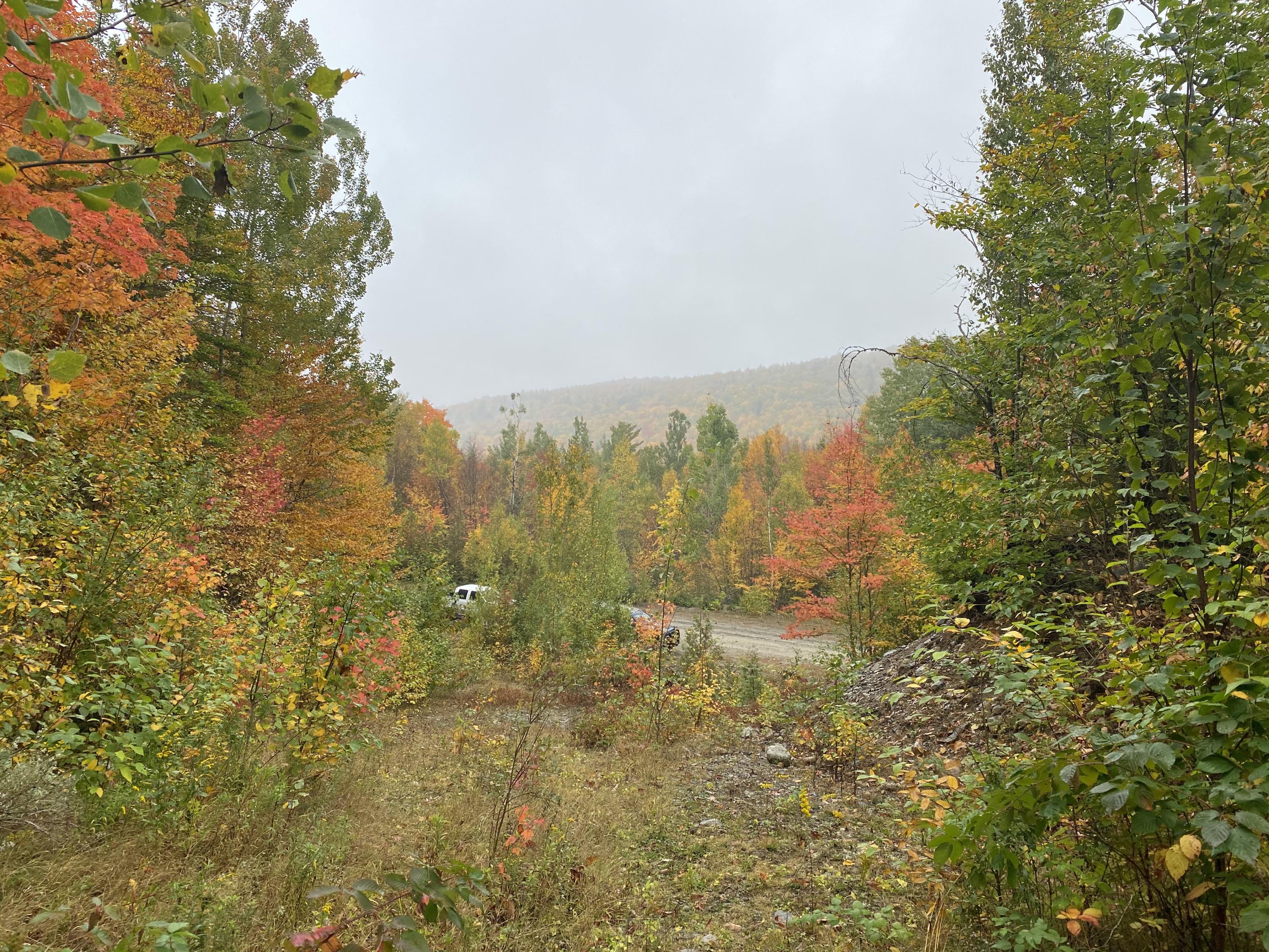 Lot 46 Dill Valley Road Lakeville, ME 04487 - Photo 30 of 38 Photo Sep 29, 12 02 19 PM